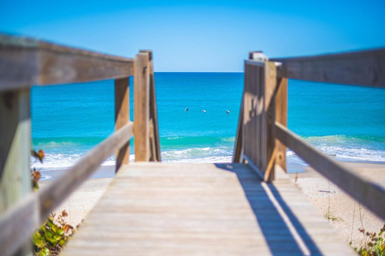 Tranquility Seahorse Suite - Oceanfront Paradise! Melbourne Beach Exteriör bild